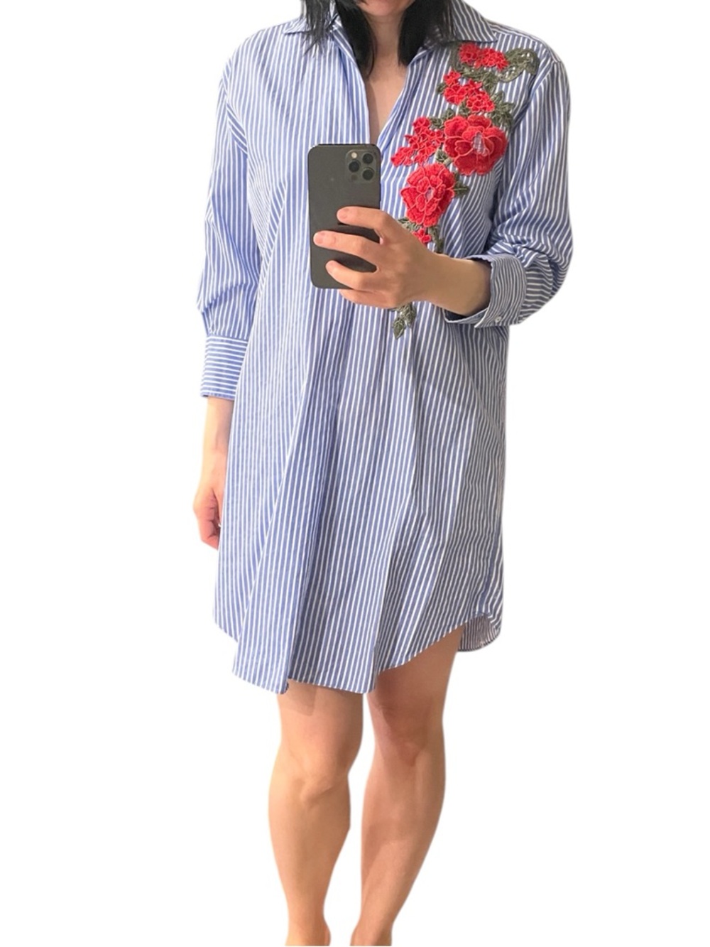 Zara Blue and White Striped Mini Dress with Red Floral Embroidery